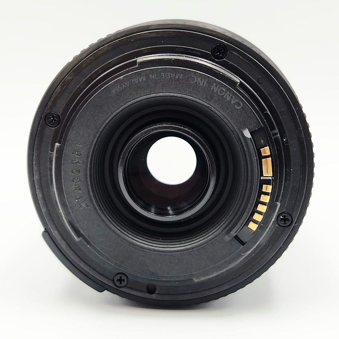 Canon EF 90-300mm f/4.5-5.6 ズームレンズ