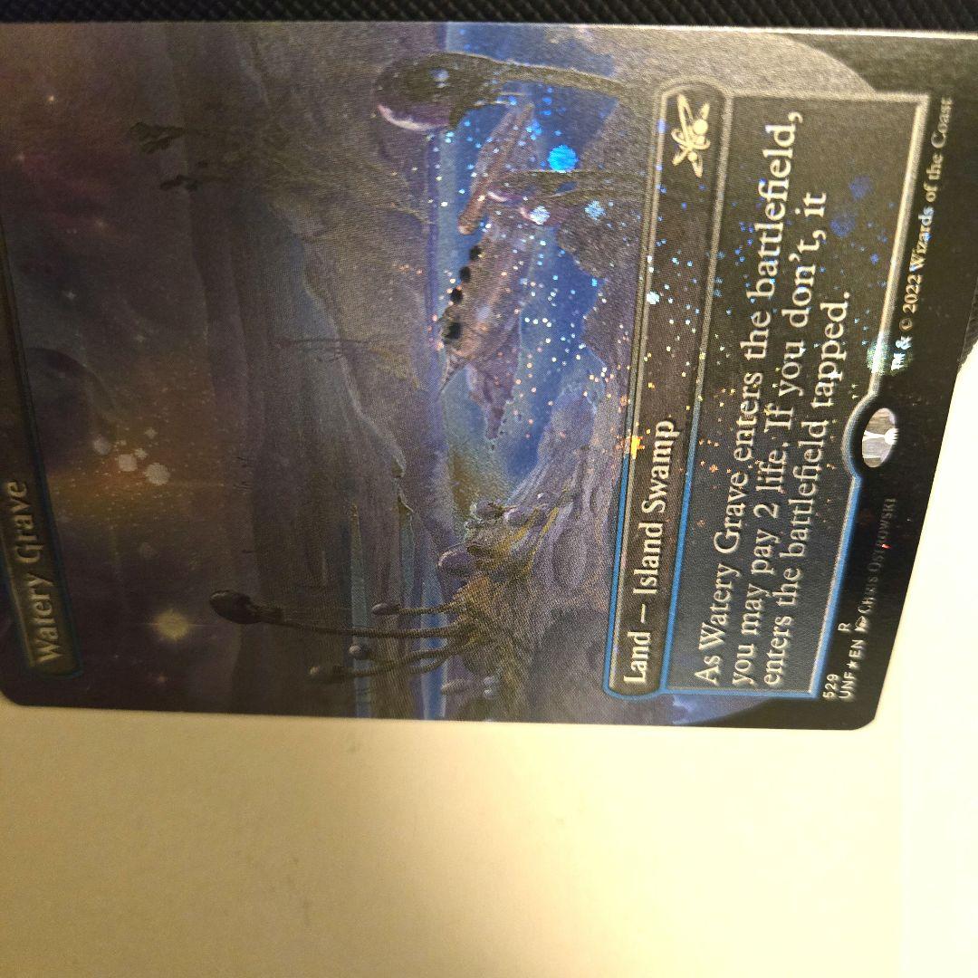 ラスト一枚【ギャラクシー・Foil】限定(529)■ボーダーレス■湿った墓　希少