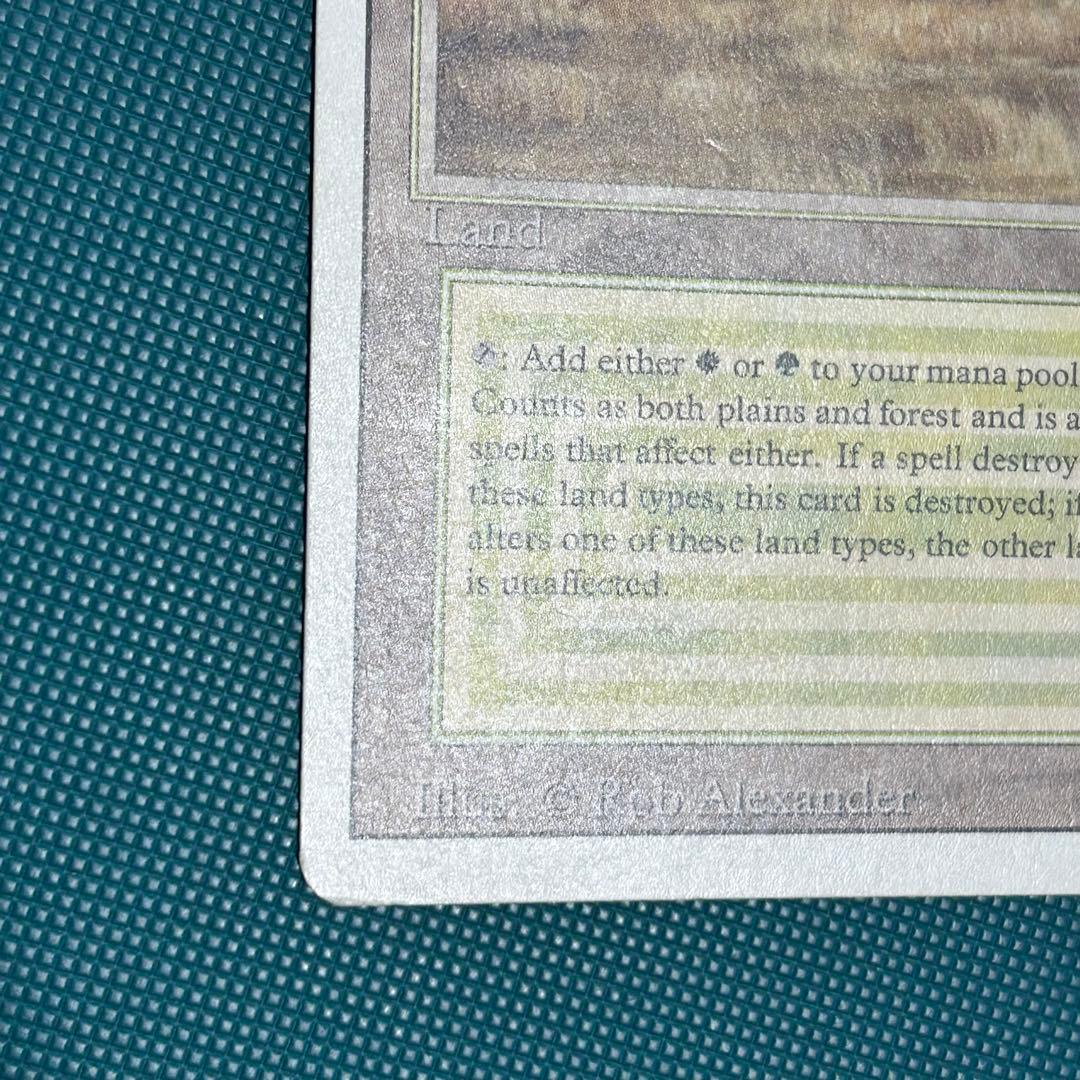 英語《Savannah》[3ED] リバイズド