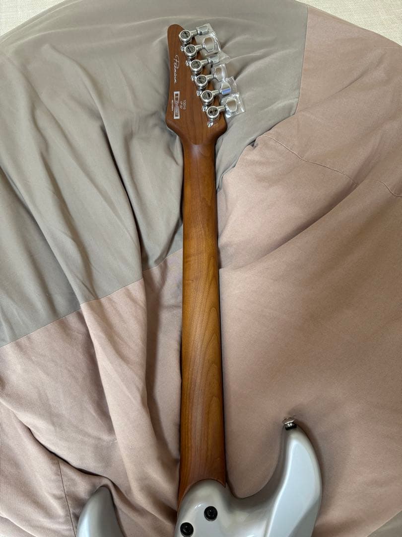 期間限定値下げ】2025年4月新品購入 Ibanez TOD 10 - メルカリ