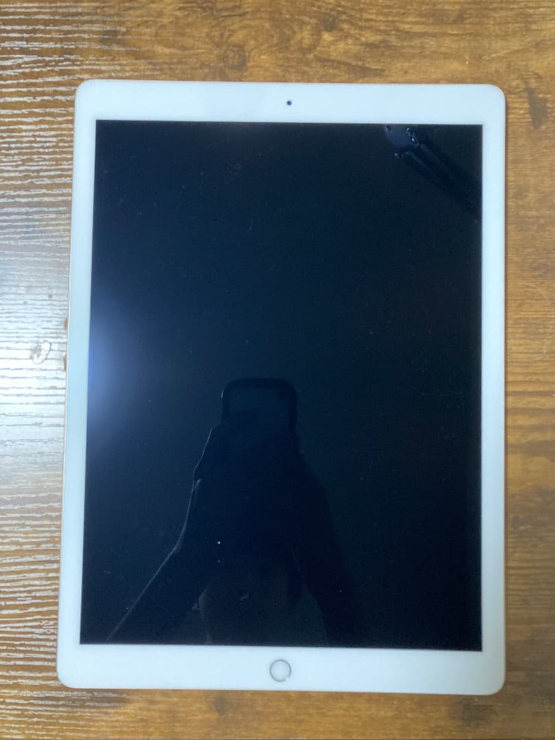 【極美品】ipad pro12.9 2世代　256GB Apple iPad Pro 12.9インチ Wi-Fi+Cellular 256GB MTHV2J/A SIMフリー