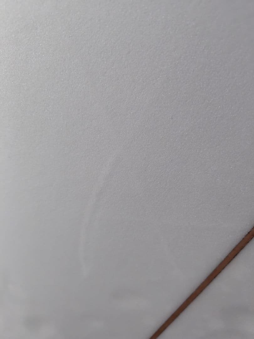 【手渡し限定】Christenson　Myconaut　5'3\"