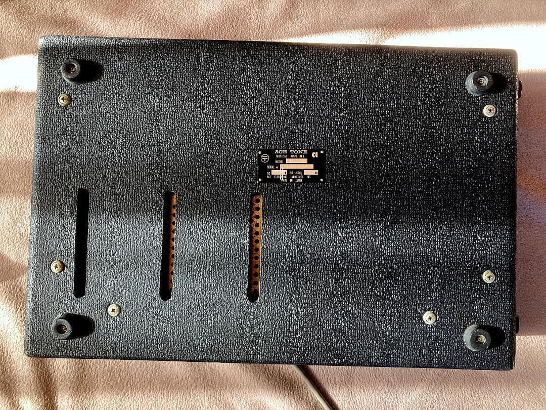 Ace Tone BASS-6 Bass Amp（100/117/230V）