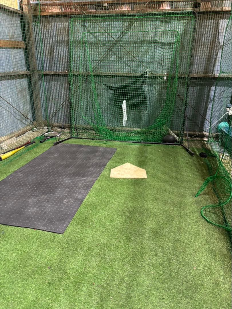 本格 とりかご バッティングゲージ 硬式 練習 室内練習場 ネット 人工