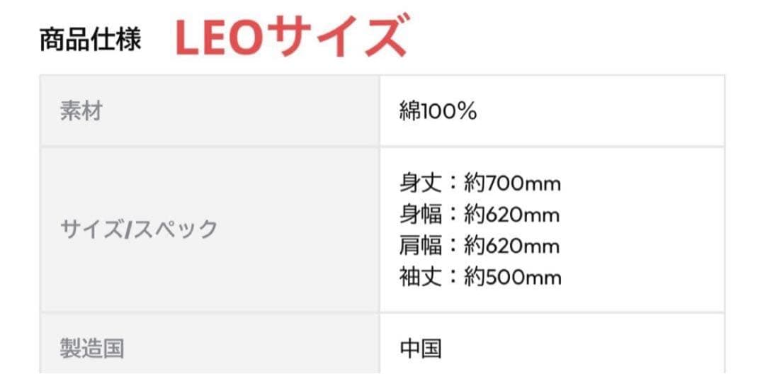 【新品未開封】LEOの遊び場パーカー&ビジュアルカード　山田涼介