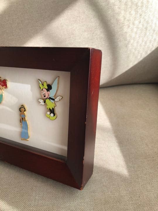ディズニー　ピンバッジ　PinCollecting プリンセス　額入り