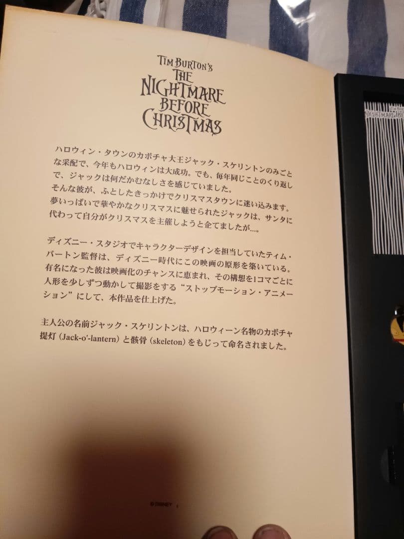 ☆Disney　レア品☆ディズニーストア限定 15th アソートブック