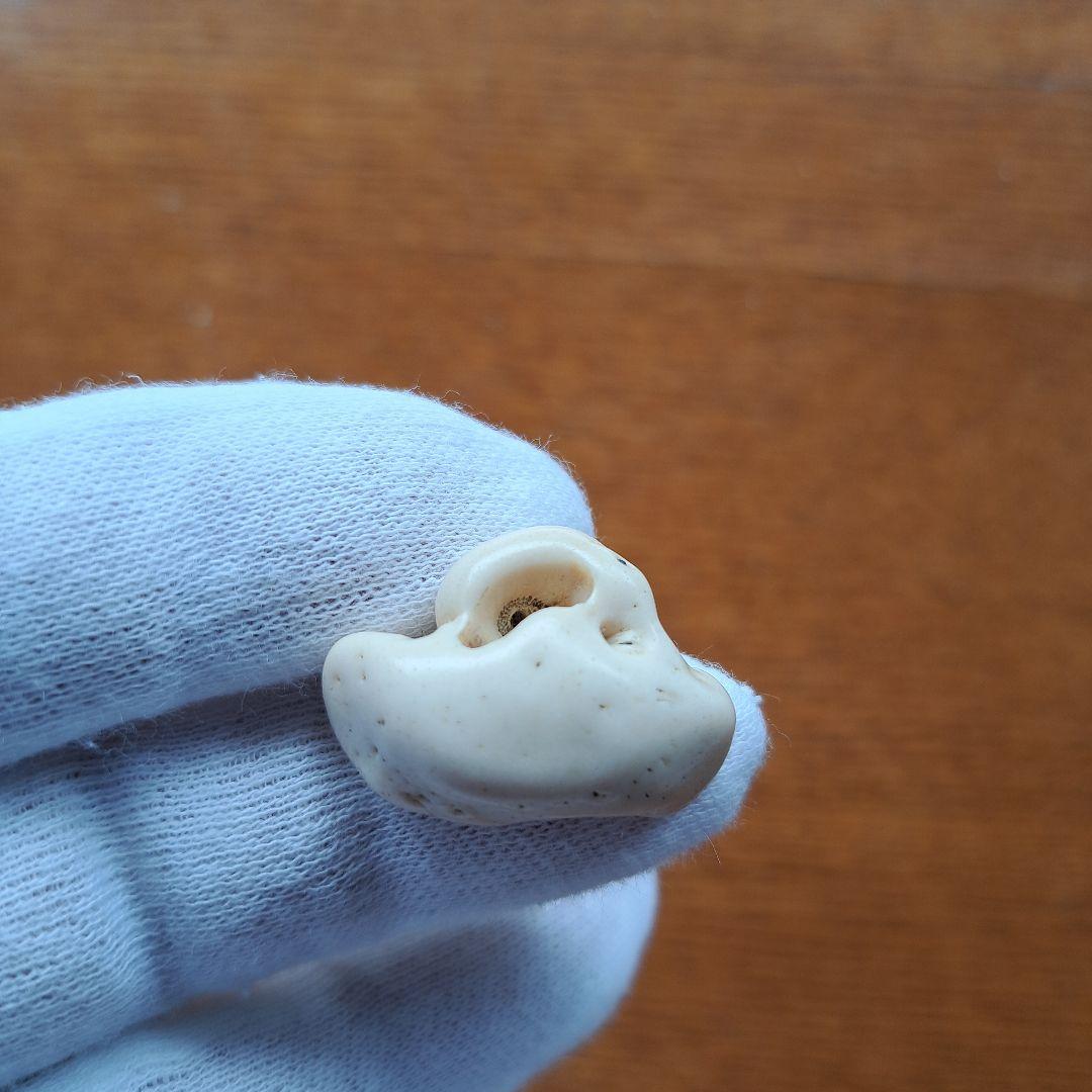 イルカの耳骨【大きさ2.7㎝⑥】