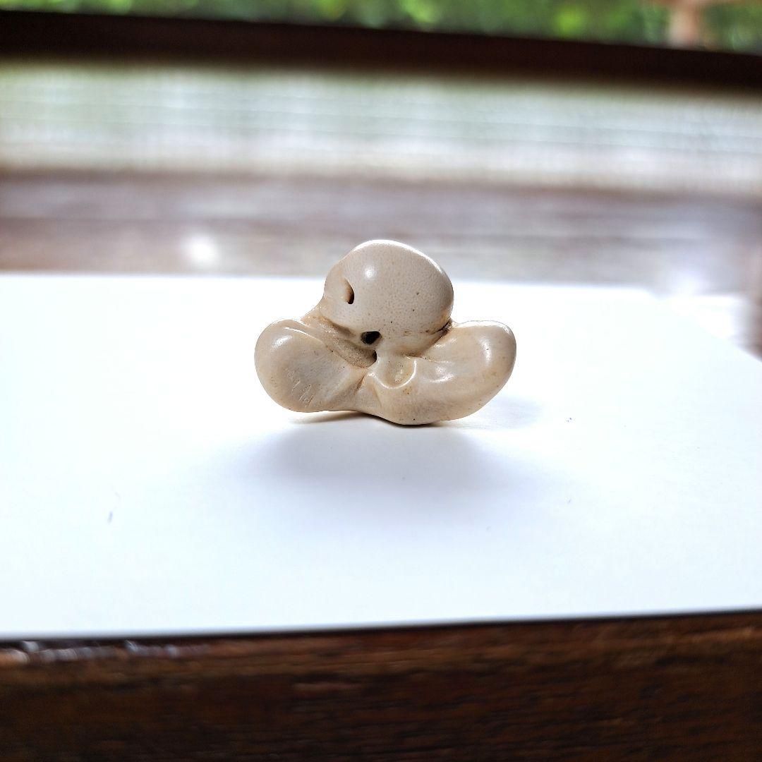 イルカの耳骨【大きさ2.7㎝⑥】