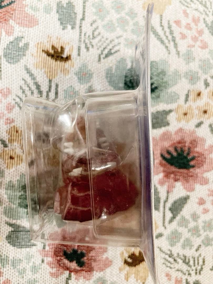 ポケモン モンコレ グラードン フィギュア 未開封