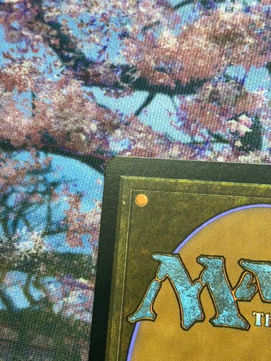 MTG Slivdrazi Monstrosity エンブレムあり　美品