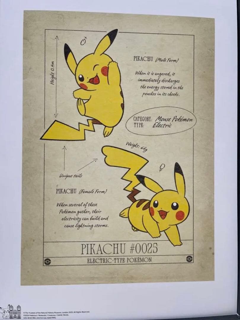 ポケモン ロンドン自然史博物 A3ポスター 限定 即購入可 - メルカリ