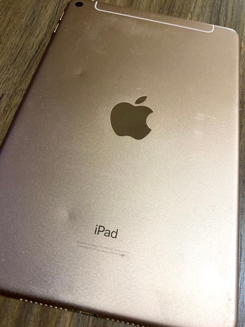 iPad mini5 A2124 ジャンクWi-Fi+Cellular 64GB
