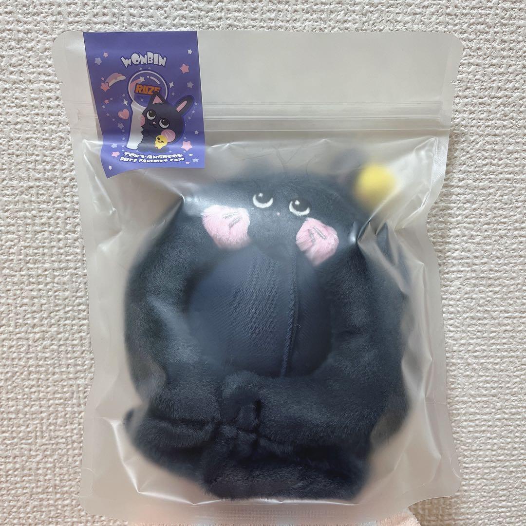 RIIZE ウォンビン トニャンドク ペンライトカバー - メルカリ