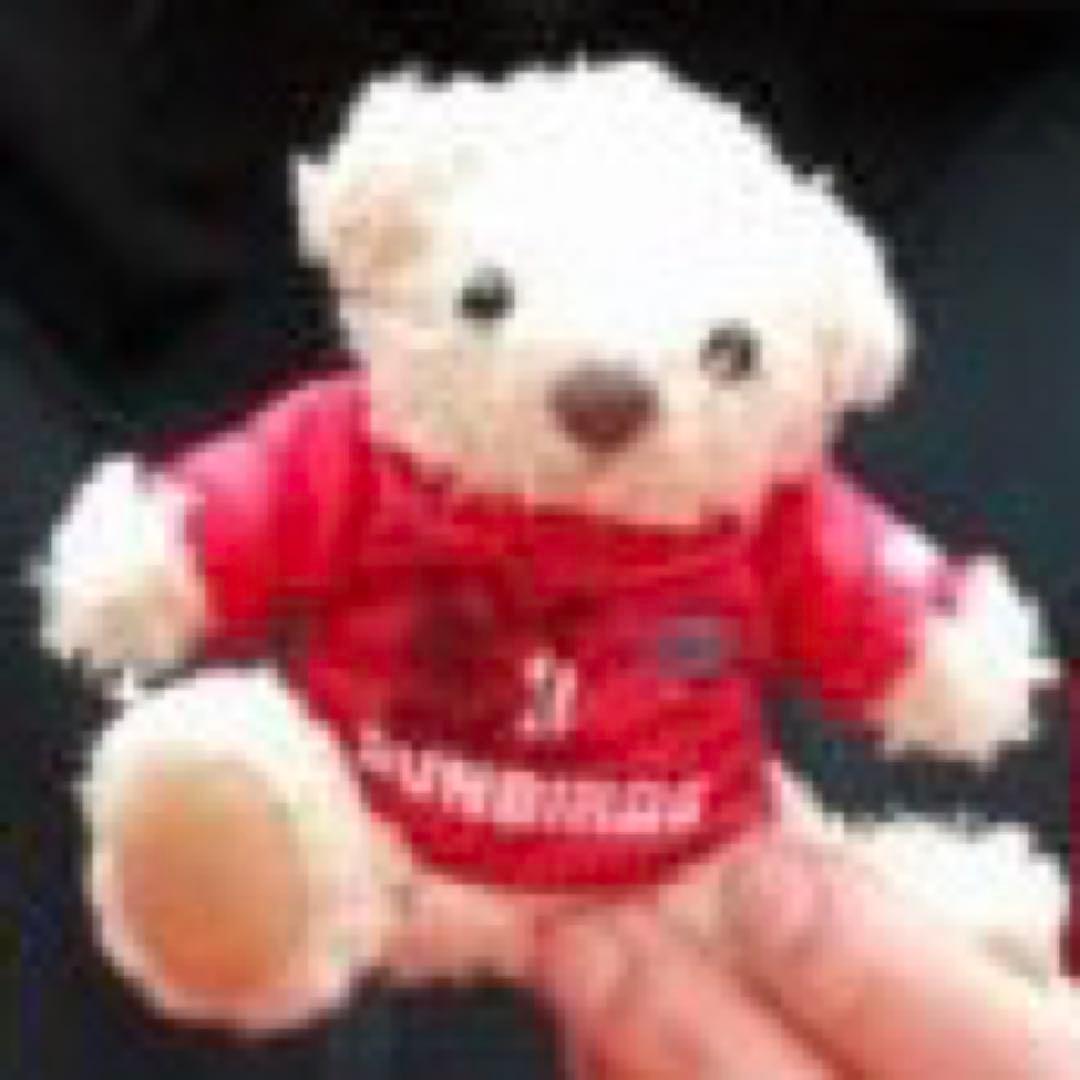 crea.riona❁⃘*.゜プロフ必読専用ページ