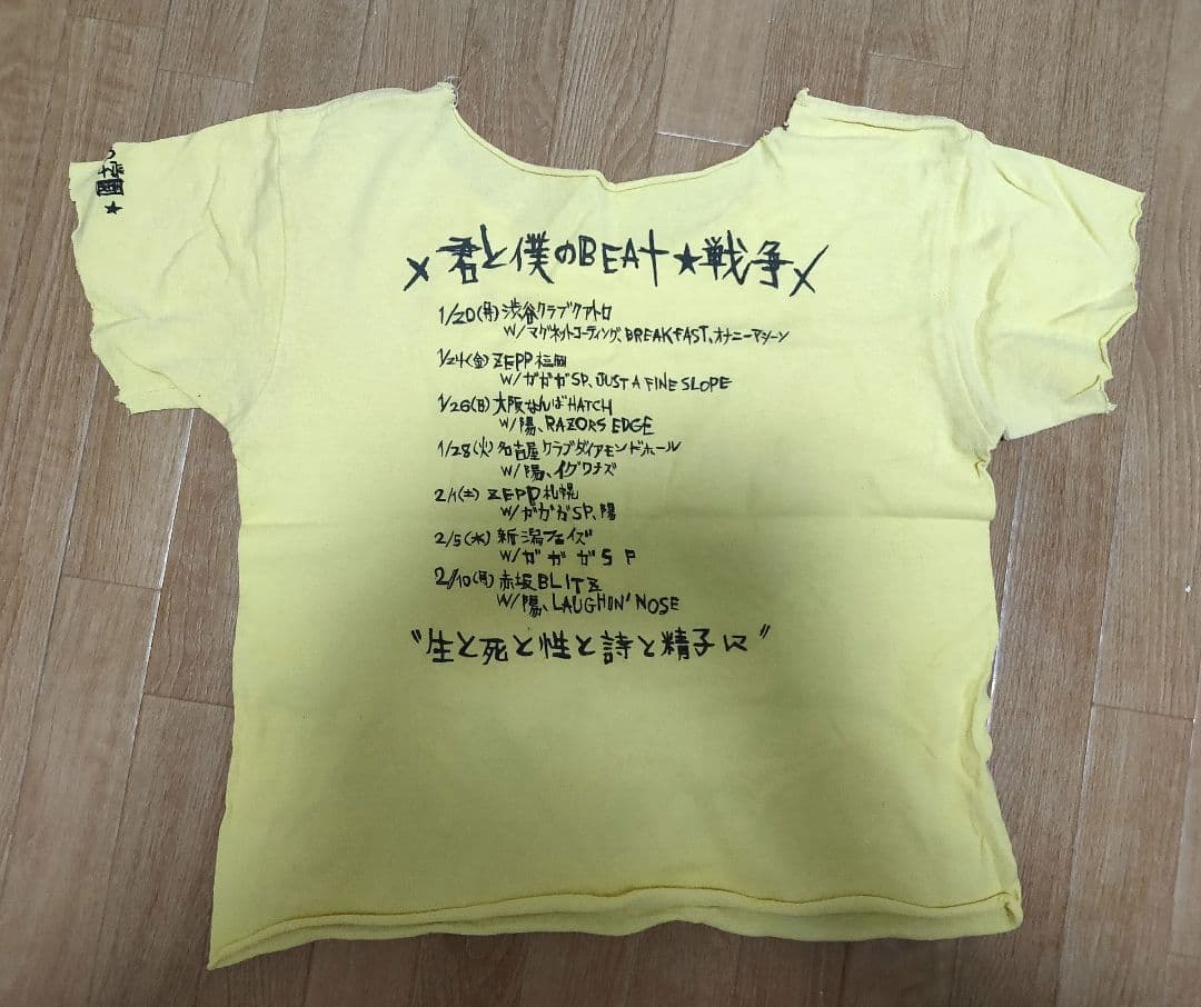 銀杏BOYZ GOING STEADY TシャツCDセット 峯田和伸