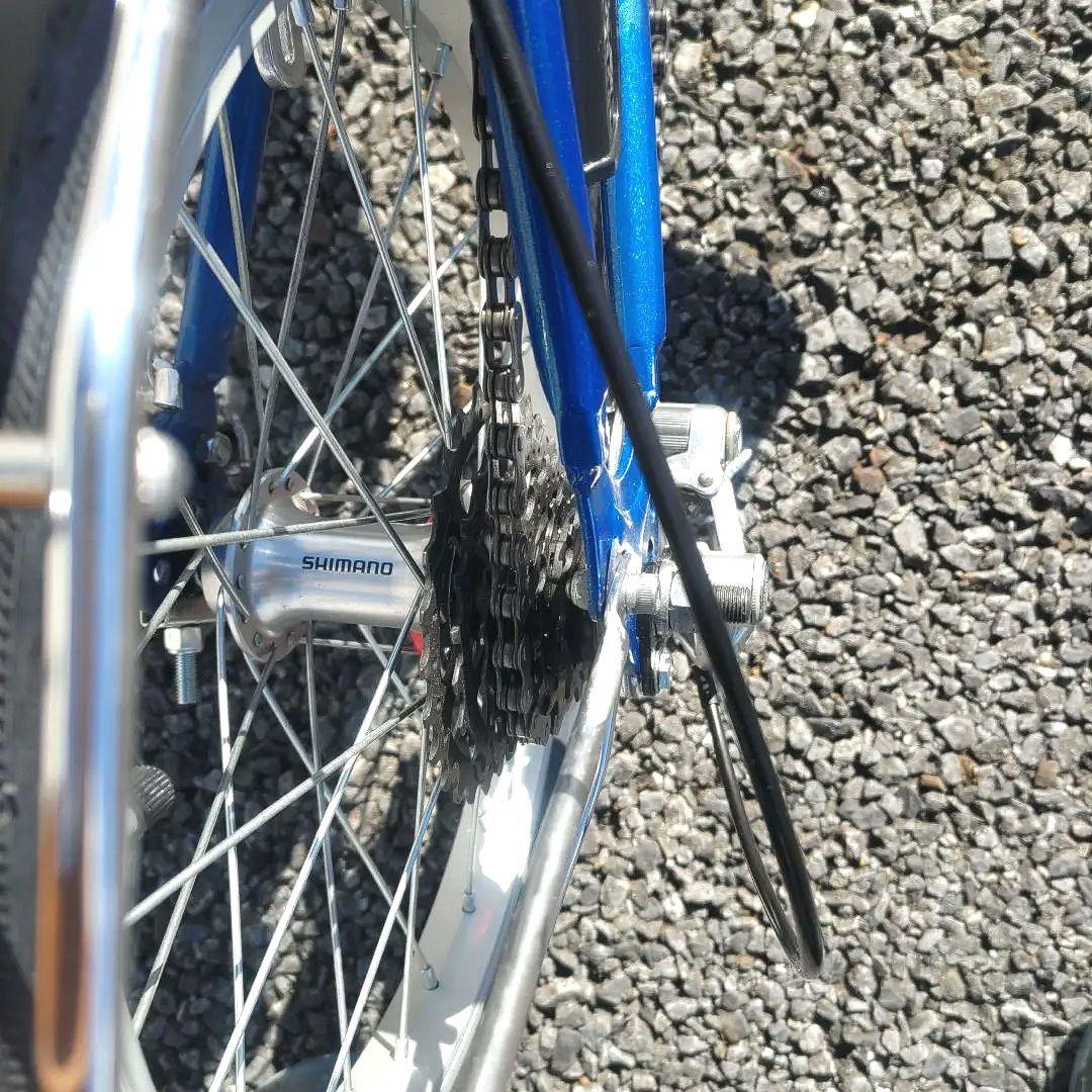 やりろーる様専用ダホン 折り畳み オールドダホンⅢ 7速仕様 old dahon