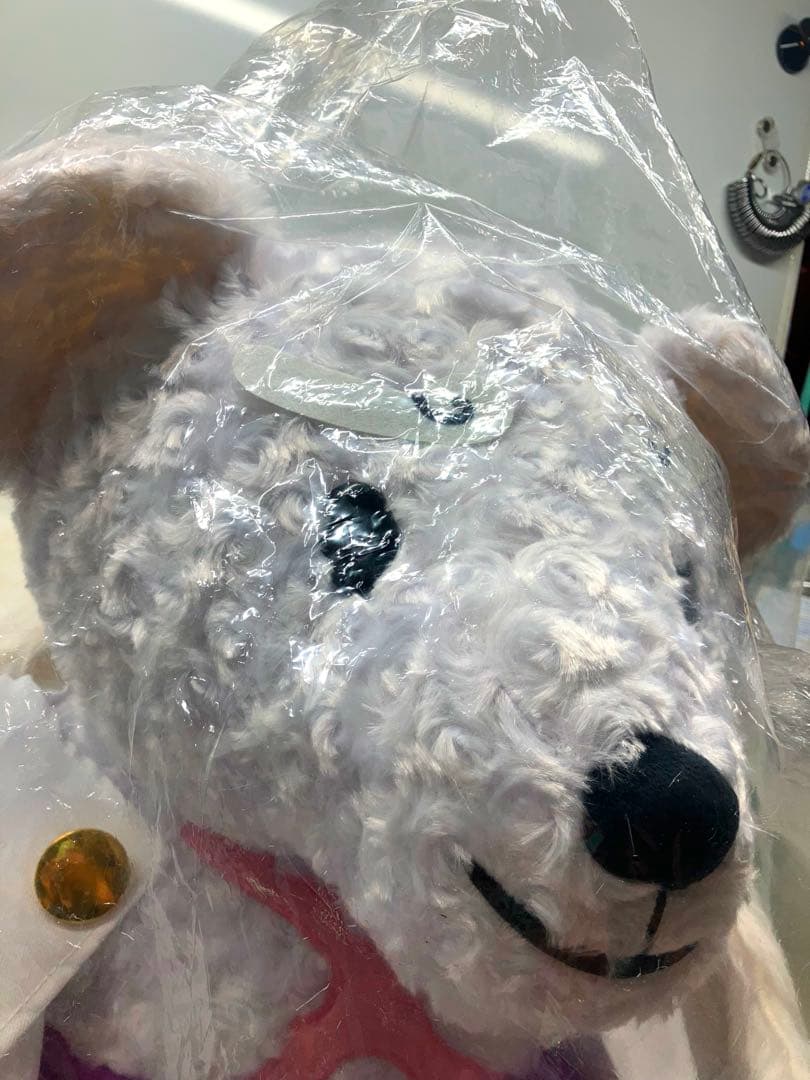 100体限定 BIG ルフィべあ ルフィベア シャンクスベア ONE PIECE