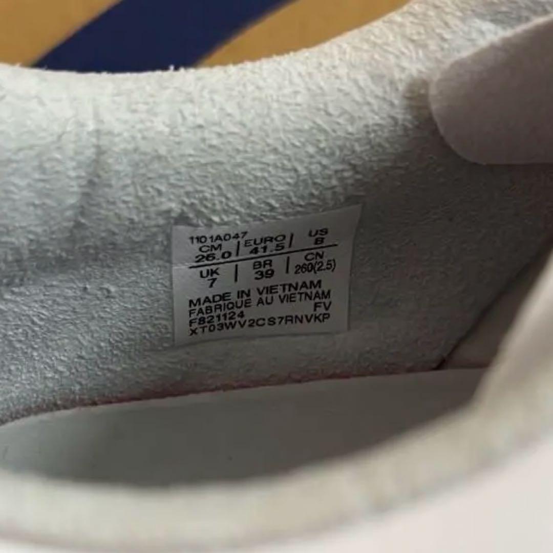 【新品未使用】ASICS DS LIGHT X-FLY 5 新色 26.0cm