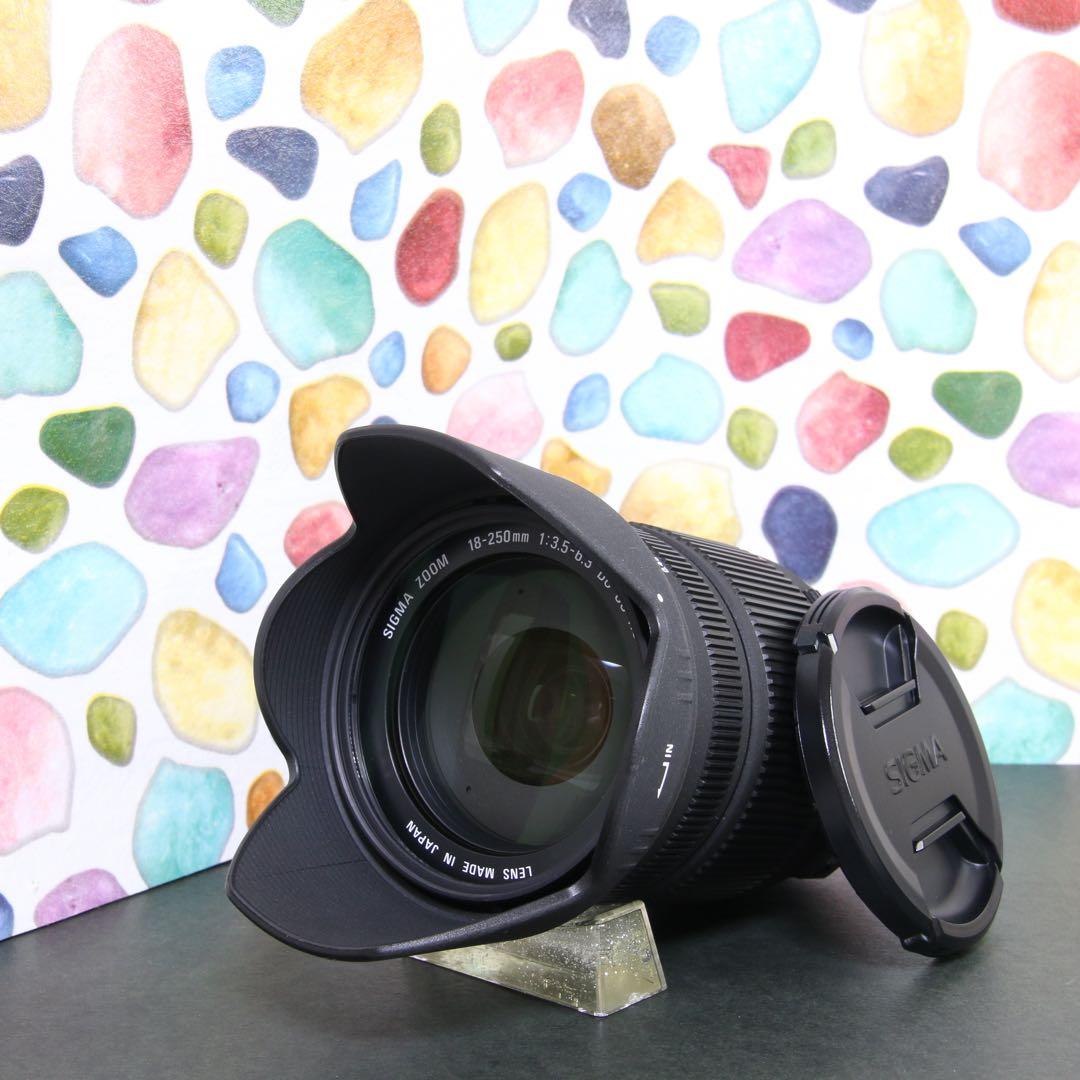 ♥︎◇フルセット ◇SIGMA 18-250mm OS Nikon 中古】(シグマ) SIGMA 18-250mm F3.5-6.3 DC MACRO OS HSM ニコン用