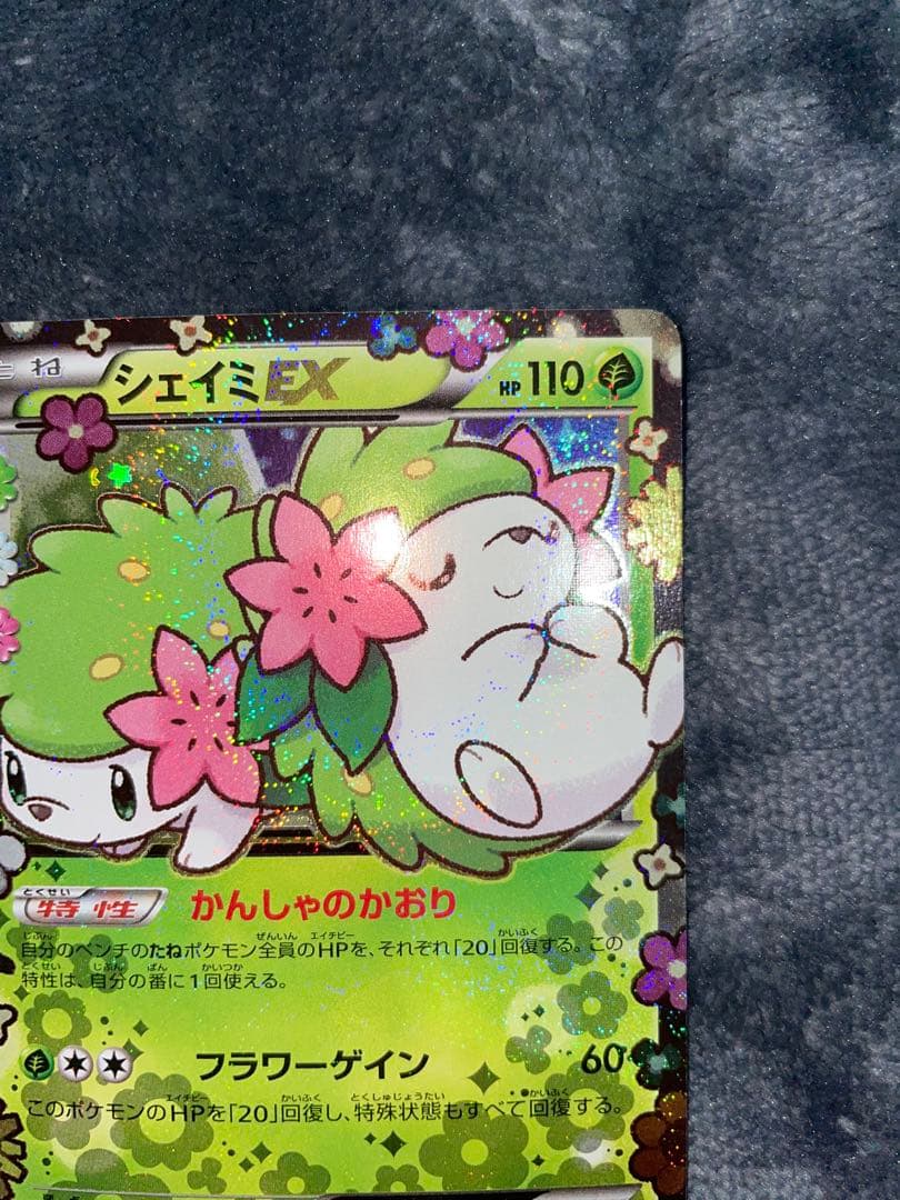 シェイミEX ポケキュンコレクション