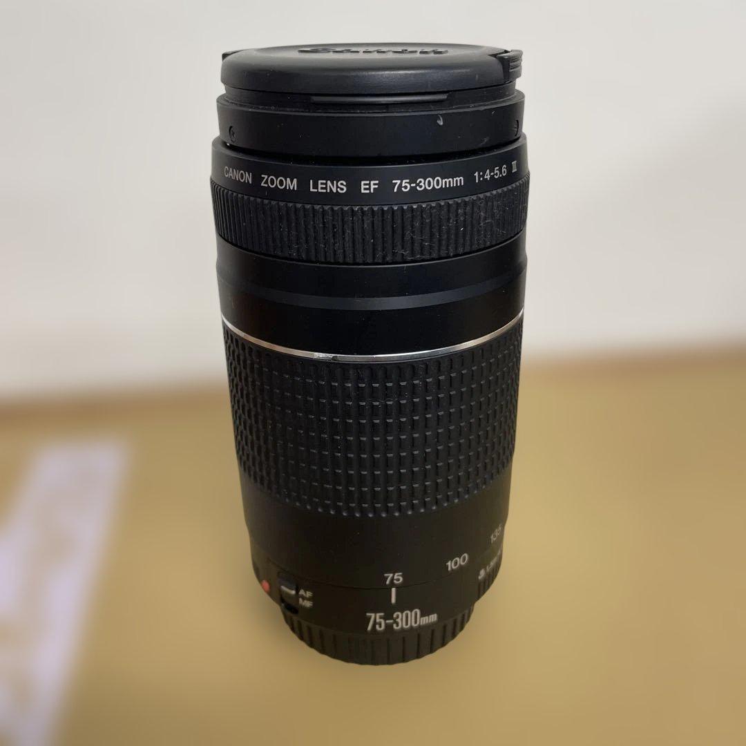 Canon EF 75-300mm f/4-5.6 ズームレンズ