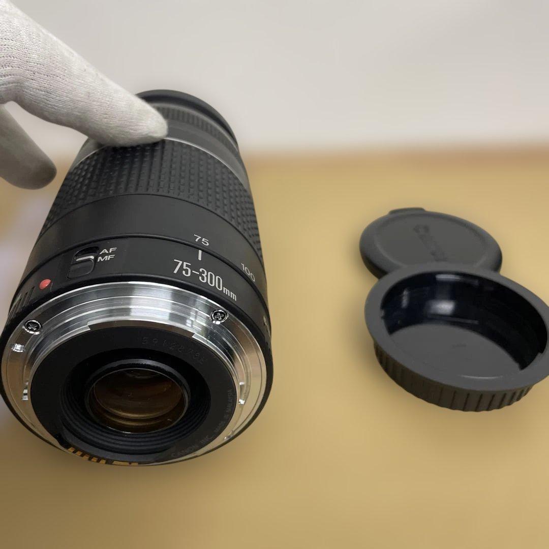 Canon EF 75-300mm f/4-5.6 ズームレンズ