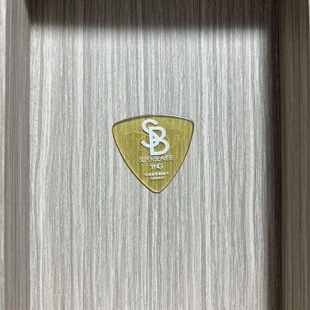 SUPER BEAVER 柳沢亮太　本人使用ピック