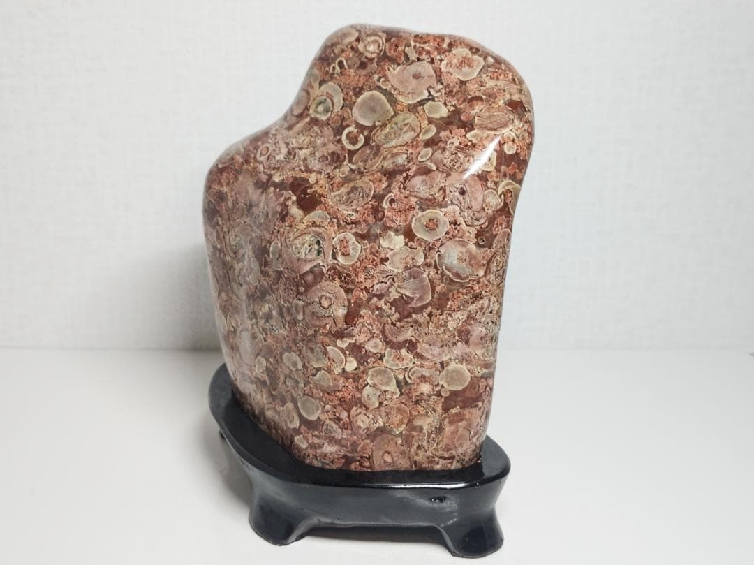 越前 2.4kg 梅花石 紋石 原石 鑑賞石 自然石 誕生石 鉱物 鉱石 水石