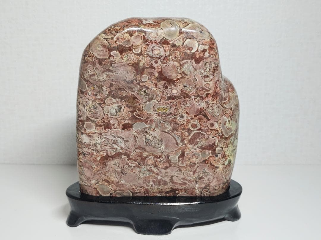 越前 2.4kg 梅花石 紋石 原石 鑑賞石 自然石 誕生石 鉱物 鉱石 水石