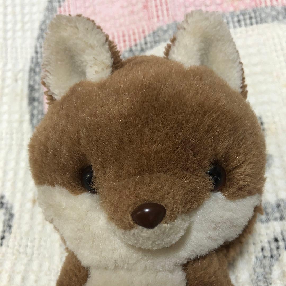 ぬいぐるみの三英 キタキツネ チロンノプ ぬいぐるみ 中古品 ① - メルカリ