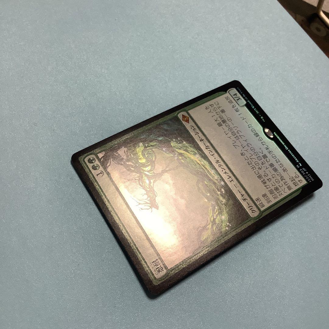 忍耐/Endurance  MH2日本語foil