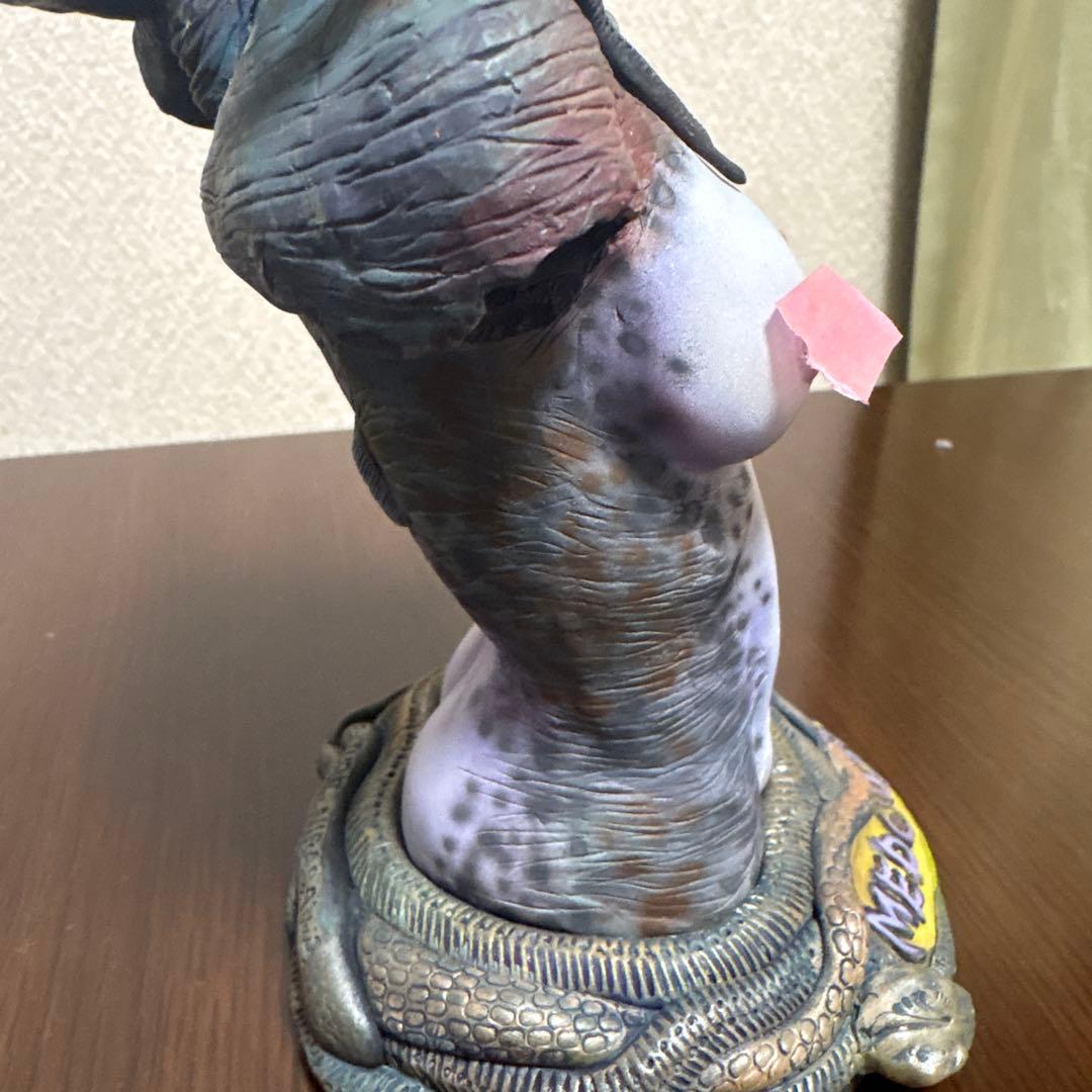 フューチャーモデルズ　MEDOUXSA メデューサ ガレキ　韮澤靖　塗装完成品