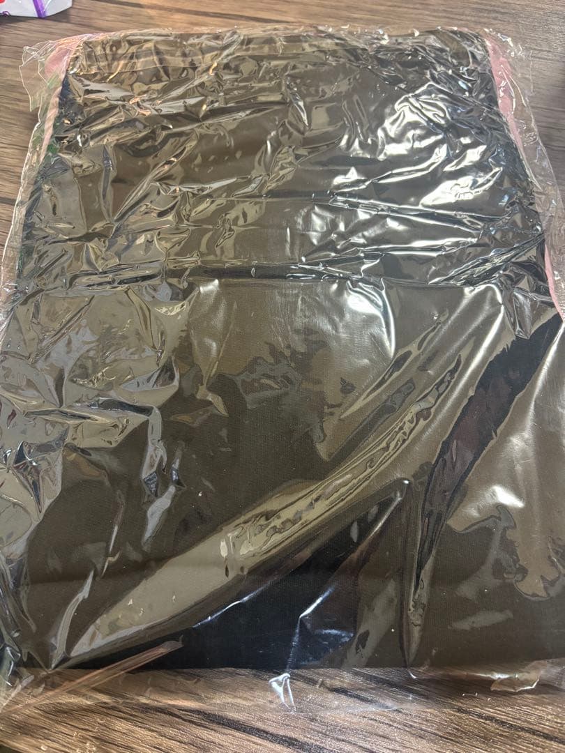 【新品、未開封】RabbiTubeパーカー九条天