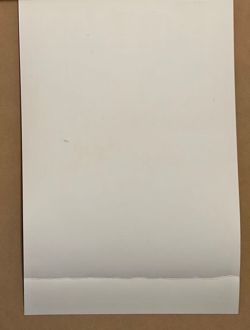 Kozik \"Another Year Wasted\" ポスター額セット