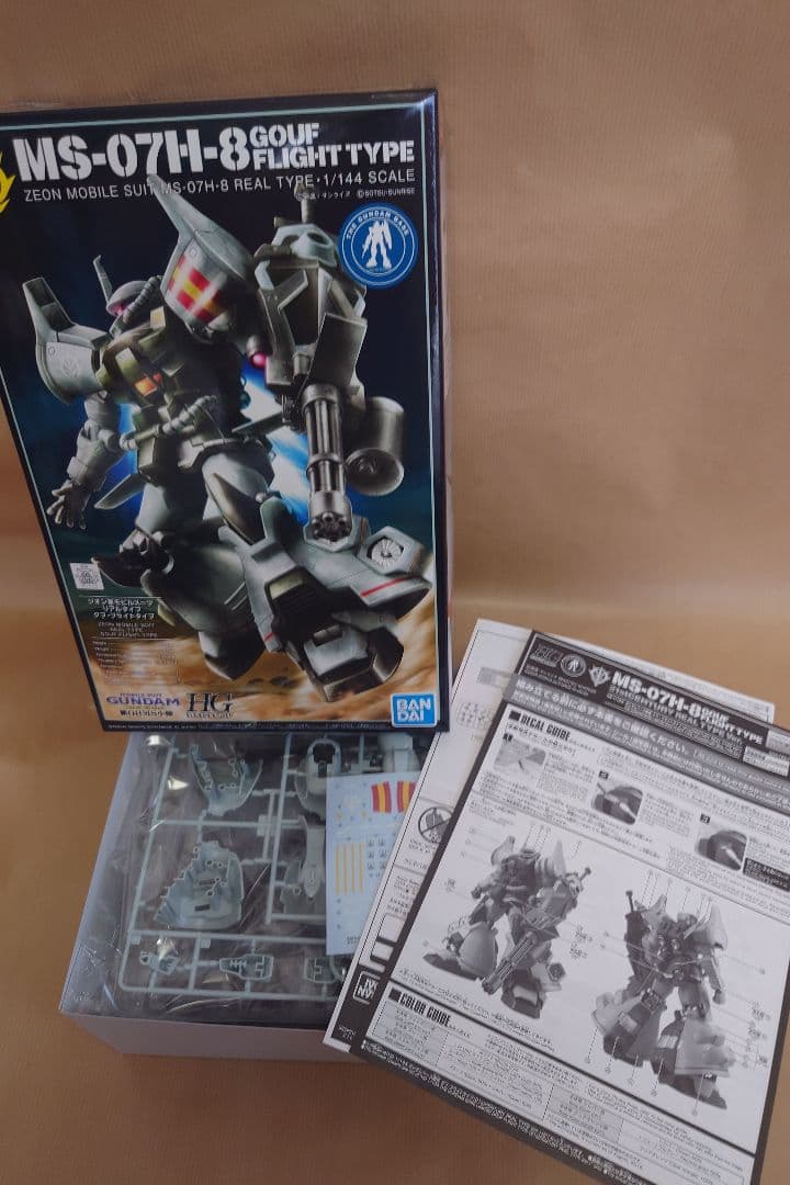 【新品】ガンプラ HG 21stCENTURY REAL TYPE Ver