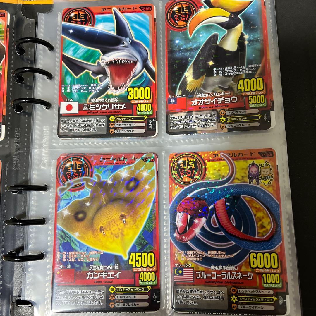 アニマルカイザー アニマルカード ノーマル20枚 - メルカリ