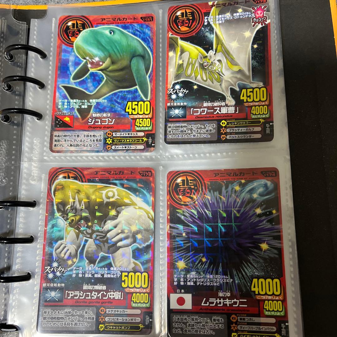 アニマルカイザー アニマルカード ノーマル20枚 - メルカリ