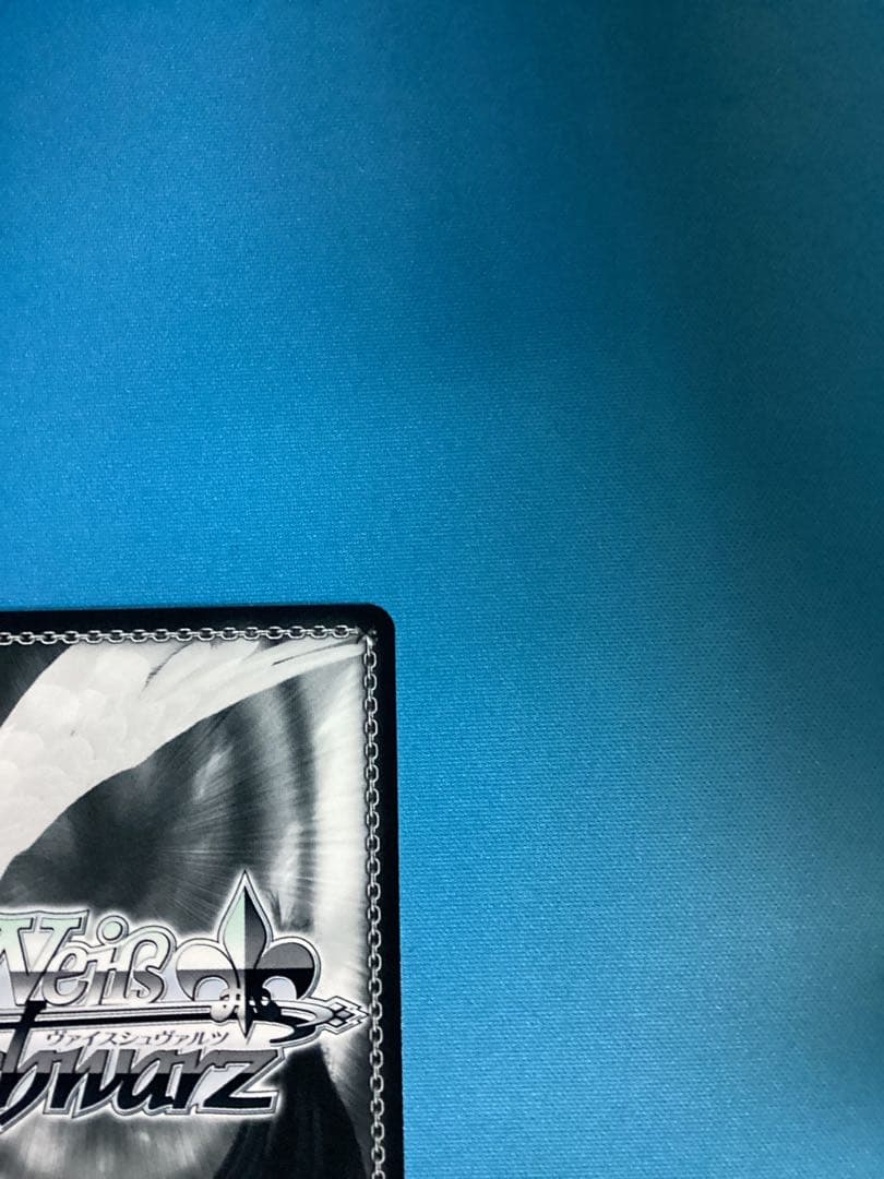 WS ブルーアーカイブ 対策委員会 シロコ SEC サイン