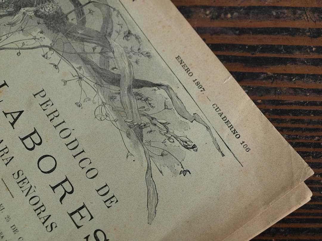 稀少 刺繍図案集 手芸雑誌 1897年6冊 手刺繍 手芸 アール・デコ/J896