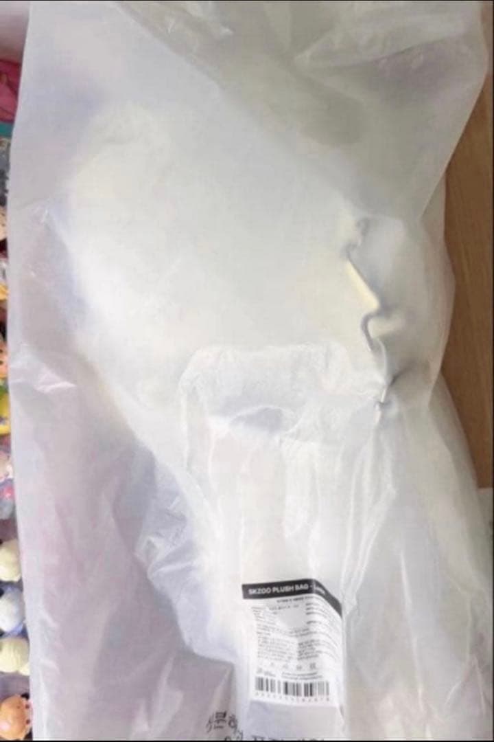 ポップアップ SKZOO PLUSH BAG Jiniret StrayKids