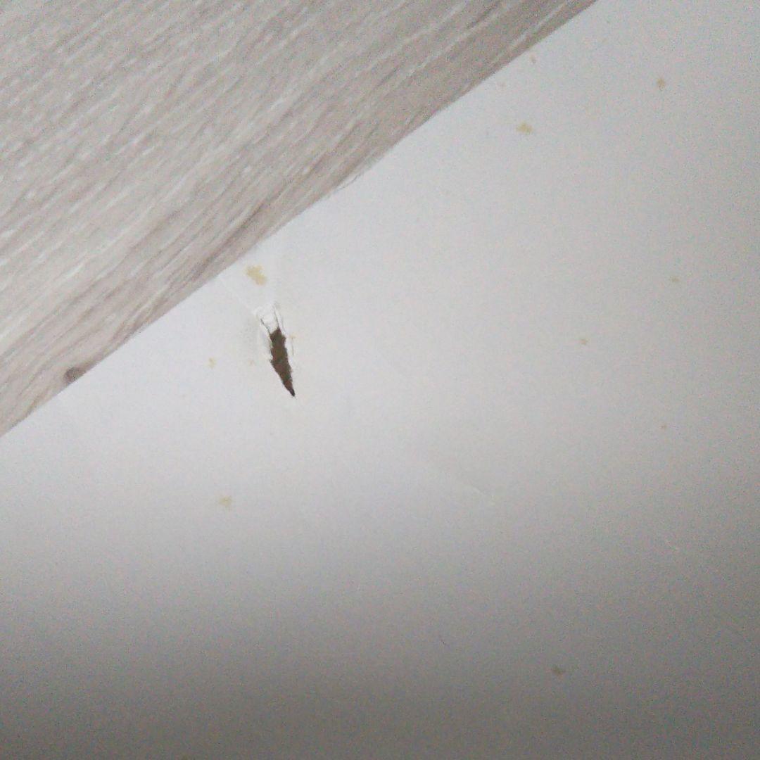 【超レア物】【非売品】ディカプリオ宣伝ポスター(4枚セット)