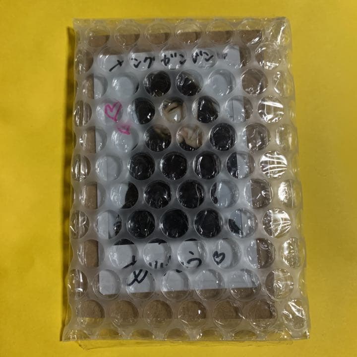 最終値下げ あかせあかり 直筆サイン入りチェキ