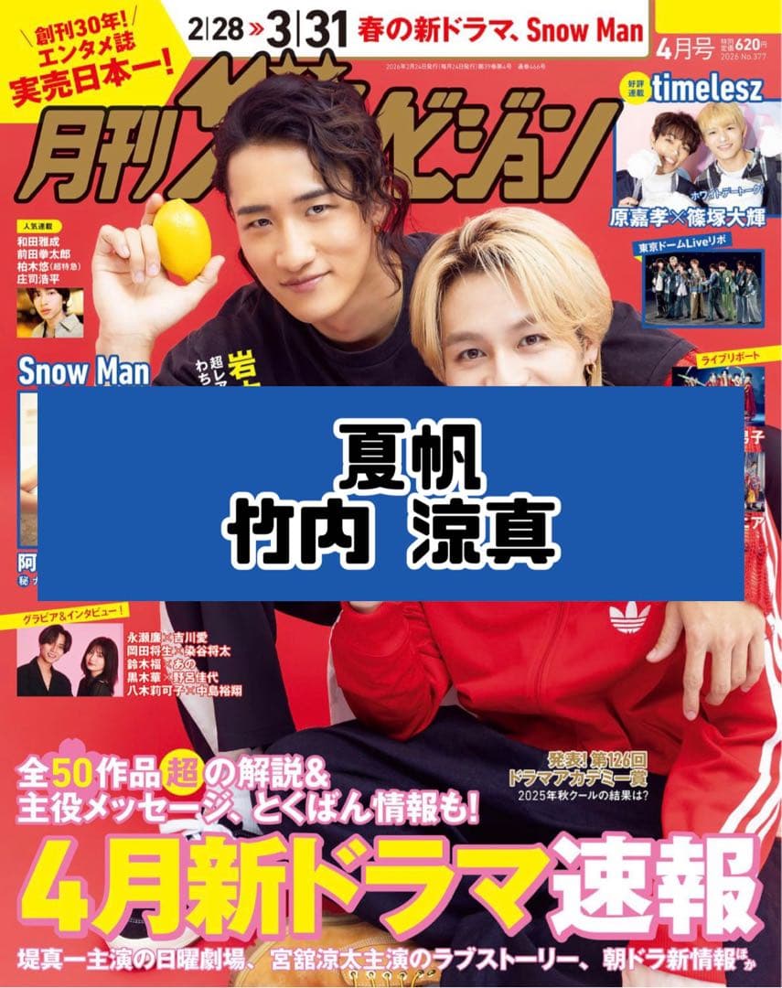 ザテレビジョン 4月号 夏帆 竹内涼真 雑誌 切り抜き - メルカリ