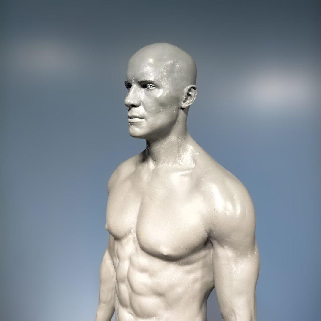 AnatomyTools.com 人体模型30cm