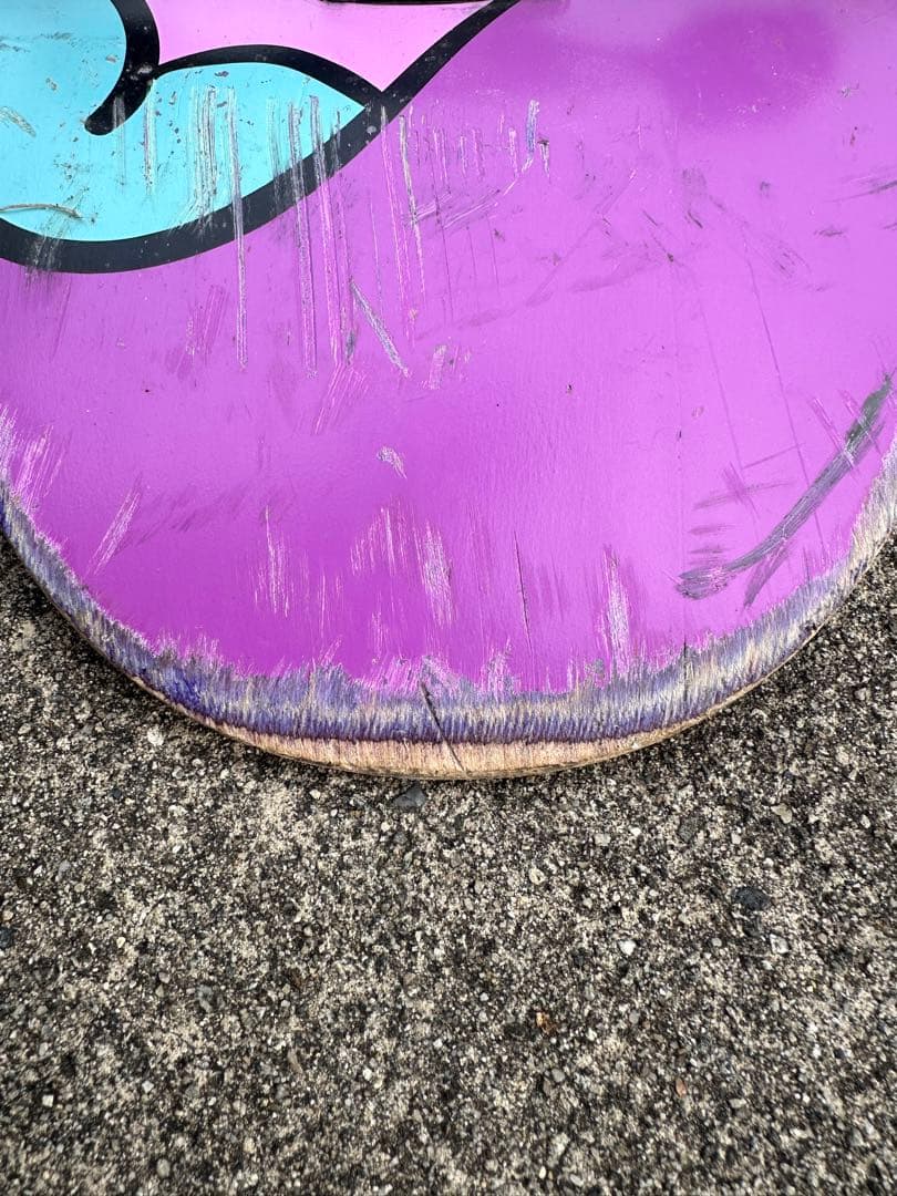 スケートボード　8.25inch コンプリート　RIPNDIP