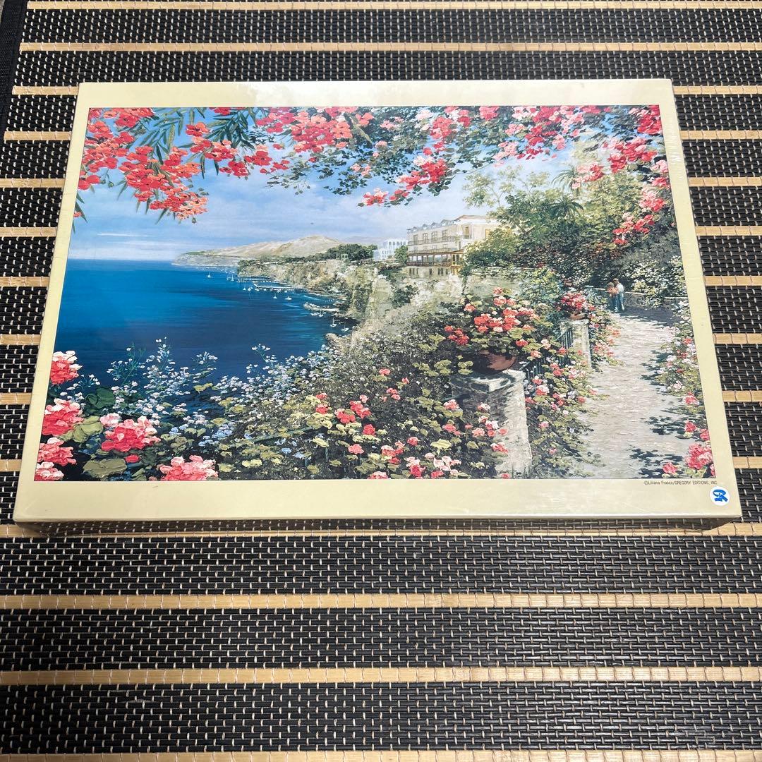 リリアナ・フラスカ　　ジグソーパズル　1000ピース　ソレント リリアナ・フラスカ ソレント ジグソーパズル 20-75 2014ピース