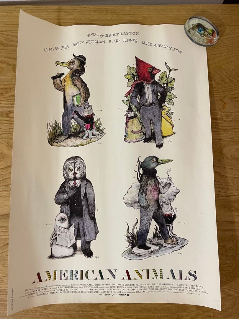 ヒグチユウコ AMERICAN ANIMALS 映画ポスター - メルカリ