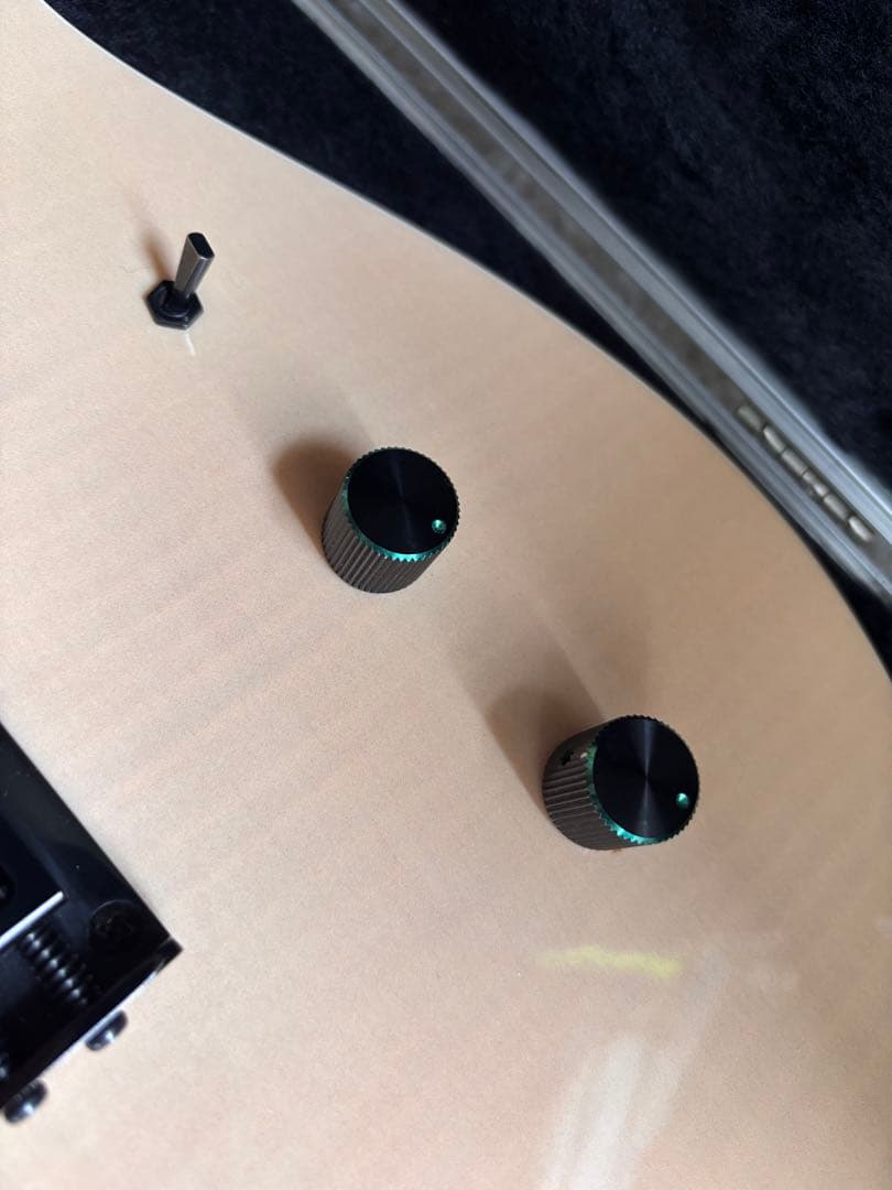 激レア品！FERNANDES TEJ Custom イベント出展品 - メルカリ