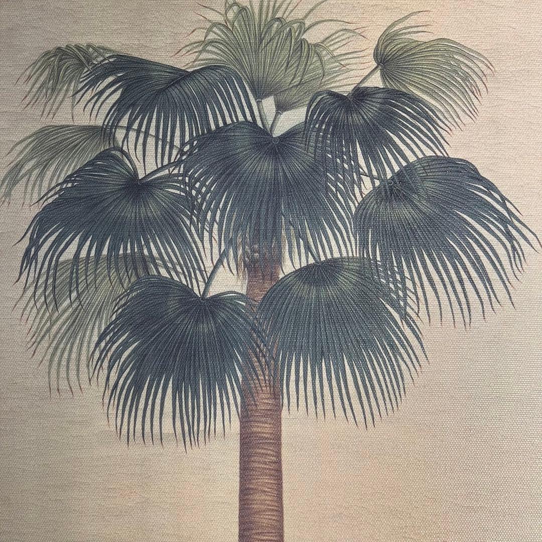 キャンバスプリントアート palm tree 絵画 額付き インテリア